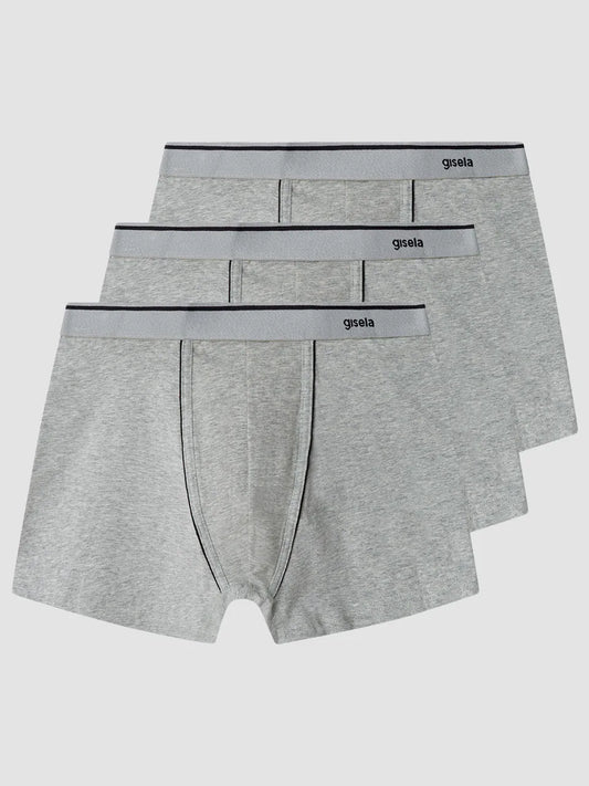 #Color_GRIS VIGORÉ