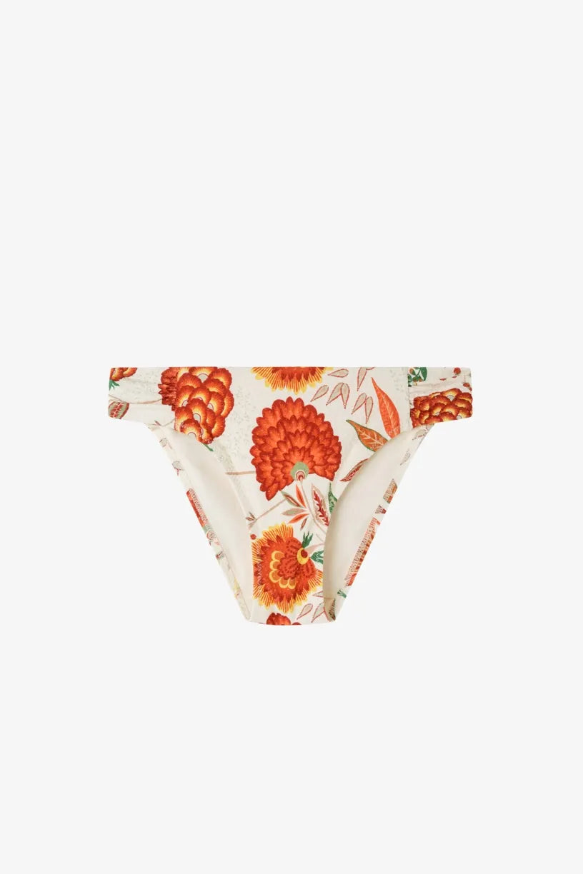 #Color_ESTAMPADO