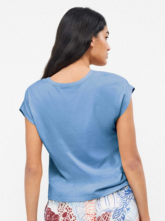 #Color_AZUL