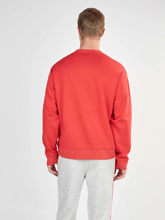 #Color_ROJO
