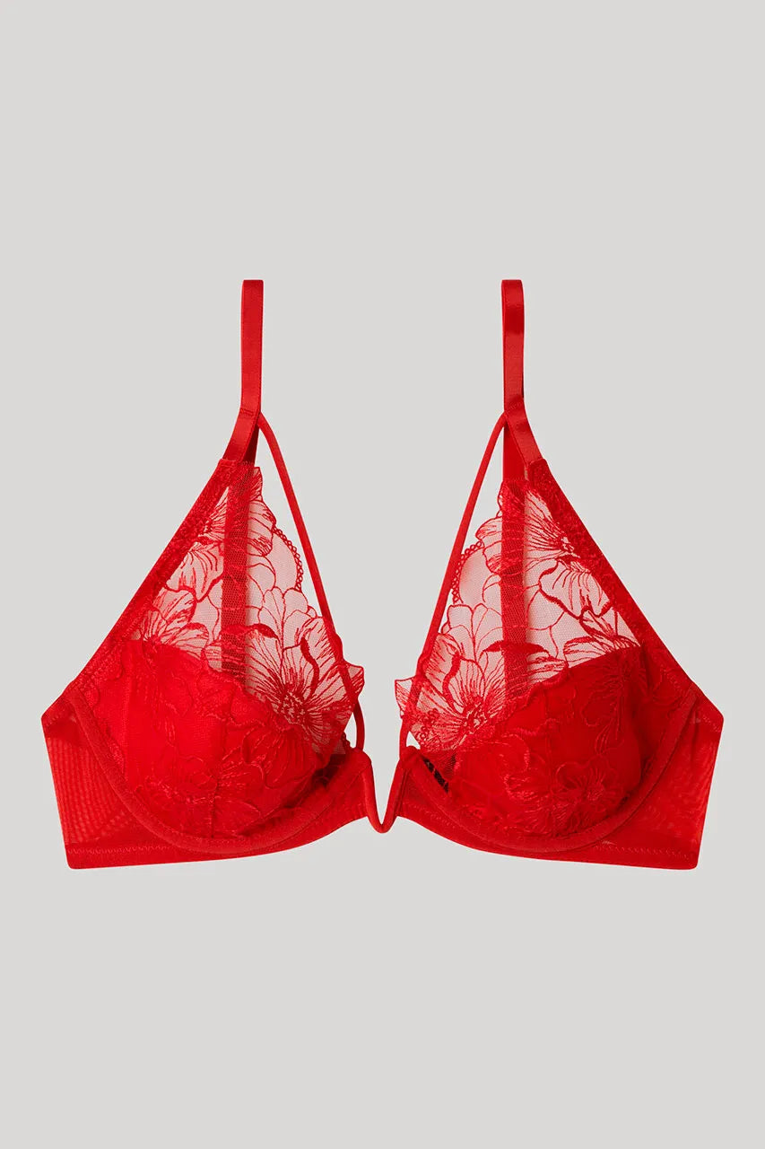 #Color_ROJO